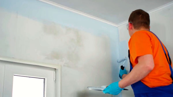 Как покрасить стены на кухне своими руками