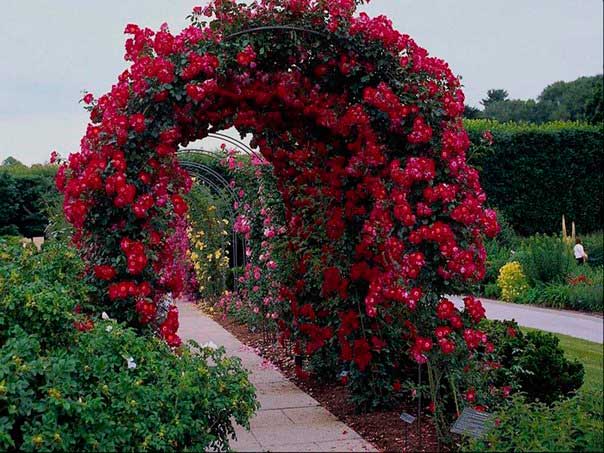 Садовая арка, лучшие идеи садовых арок