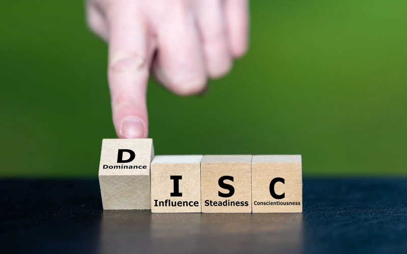 DISC: что это за модель, типы личности и применение в бизнесе