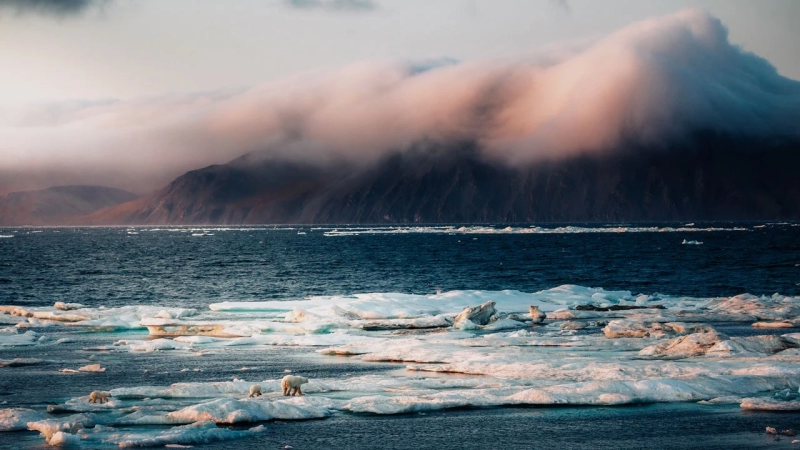 «СберПервый» отправит инвесторов в премиум-экспедицию по Арктике