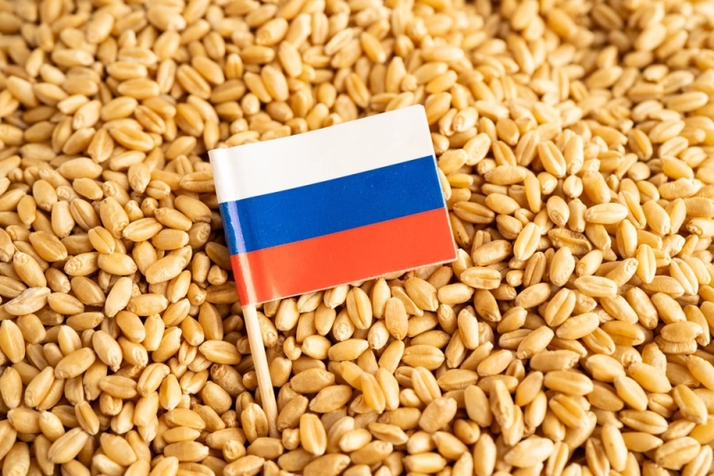Национальный режим в международной торговле: что значит для российского экспортера